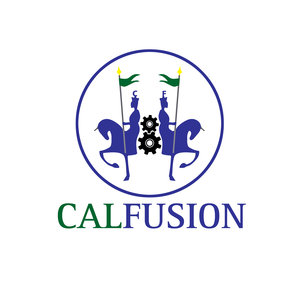 CALFUSION LUBRICANTS AND PETROLEUM PRODUCTS PRIVATE LIMITED